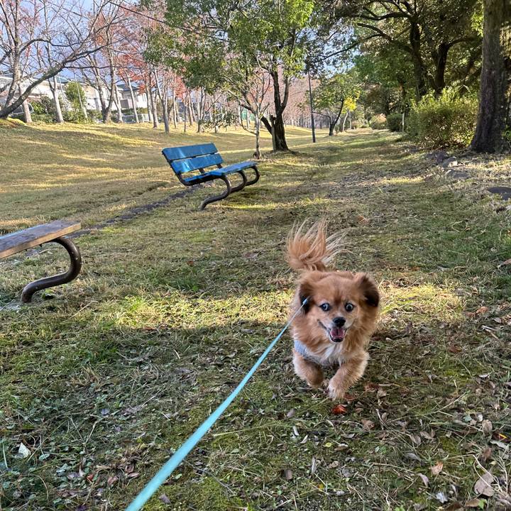 6652e104 355f 4c56 9714 86986dd46ea6 1733010857834