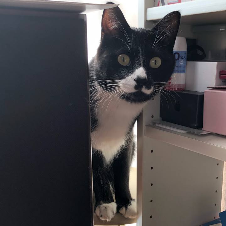 6652f1ab adab 4c36 8c71 acabb4513749 1543981650164