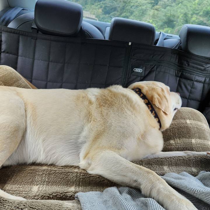 6653228a 9ede 4aa9 a7ed baf5499631b3 1760943022068