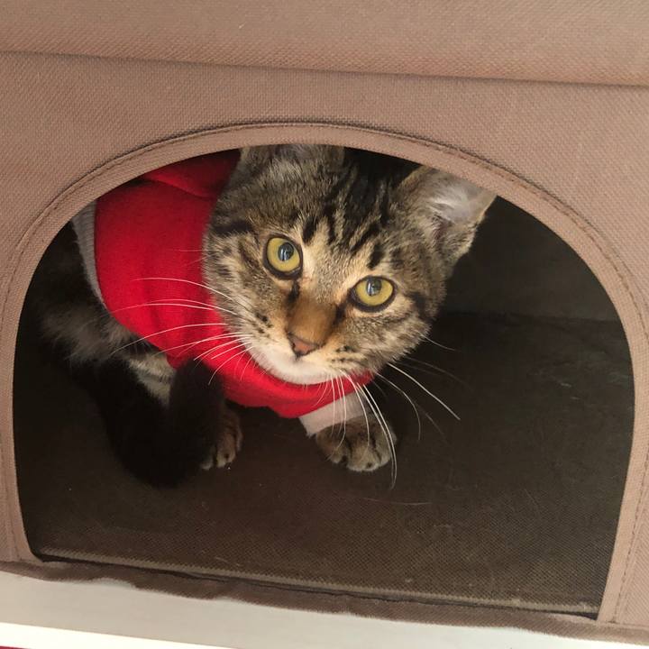 66535de2 d2fb 4f4c 9912 d0e54164509e 1730585500780