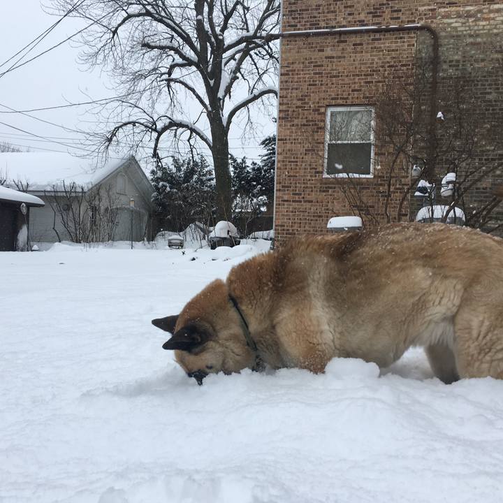 66536285 8b42 4453 b0fb 6d288a41f538 1518300187786