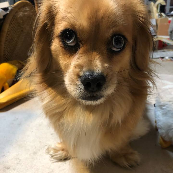 6653715d 40f0 4d45 be98 dfab0aaa0a23 1551822564736