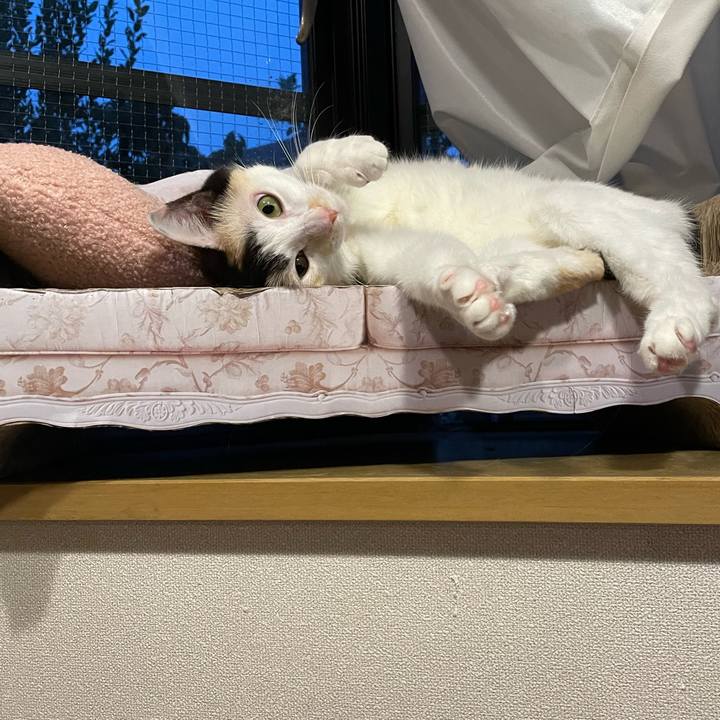 66539b37 6105 44c9 8168 7d75da053731 1696581631878