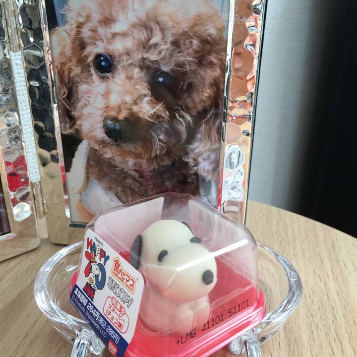 66539e79 d140 4617 8ba3 b89b53c4dcb4 1613020389482