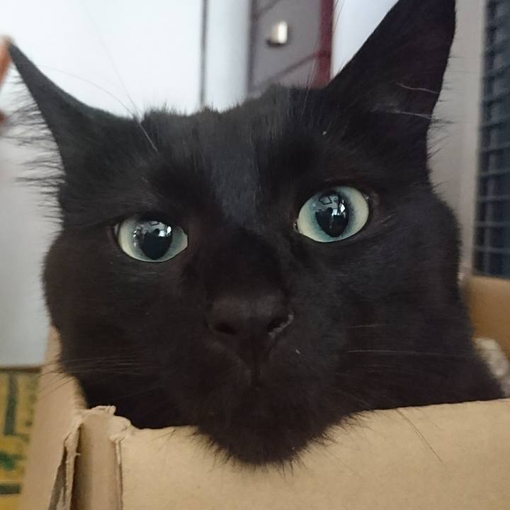 6653d89e 5f2d 4d58 bb92 c22303922b06 1623975121187