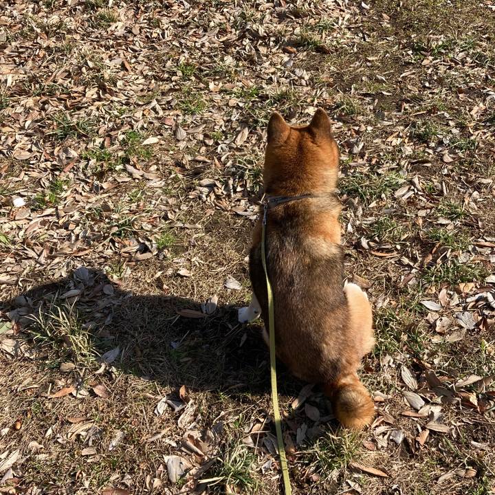 6654207d b1f9 4a23 892d 63f8d6a8ced1 1674116838997