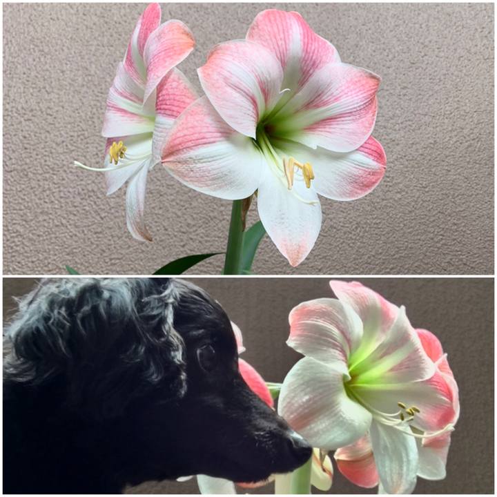 66545ca5 24bc 404b b8ca 2542ecc38bc4 1589674756151