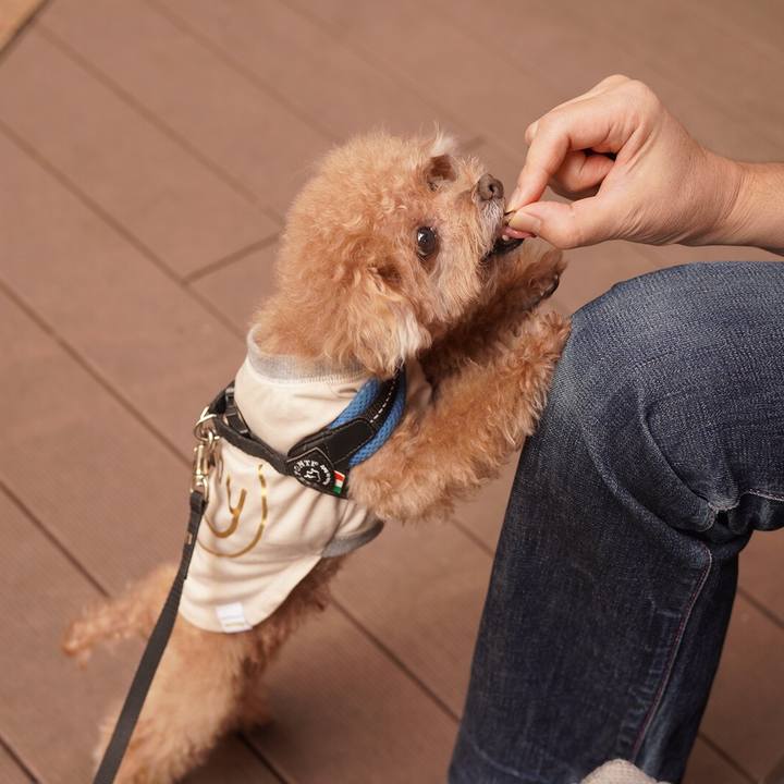 6654728f 03d7 4660 8634 ac3b366d9bab 1697366569176