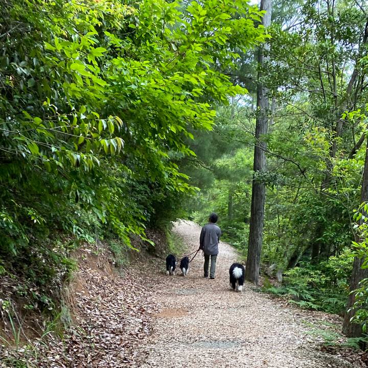 66548f5a e666 4f51 8db0 3679a2cf01ec 1685954784157