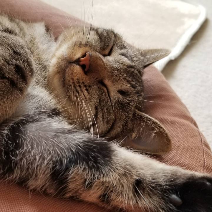 6654e9c8 b196 4b72 b0c4 52924efee377 1685272292594