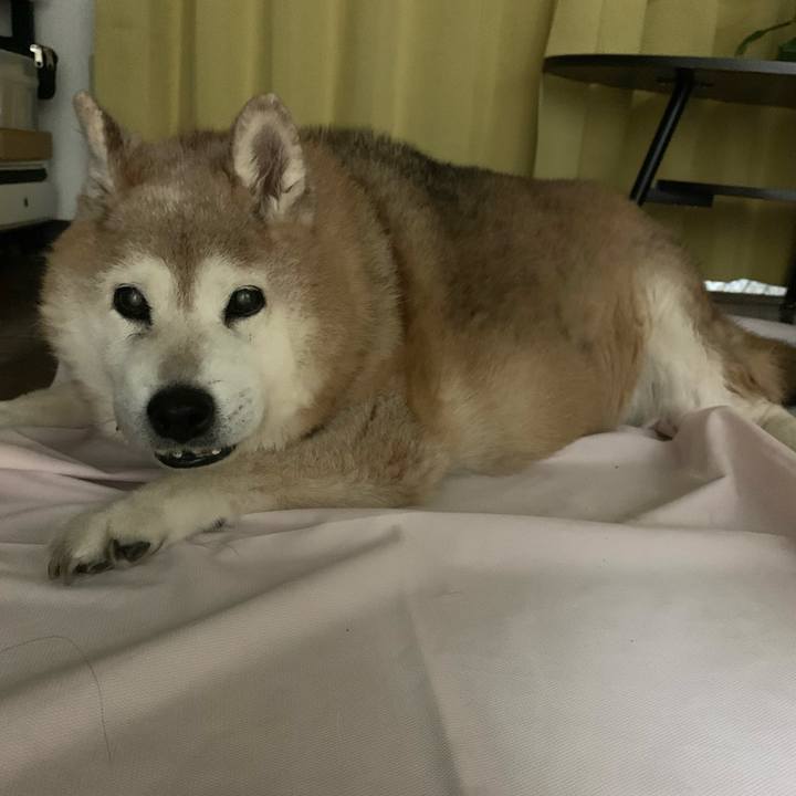 66550b5f 1679 4127 8bcd 8aecd2c90126 1655292529755