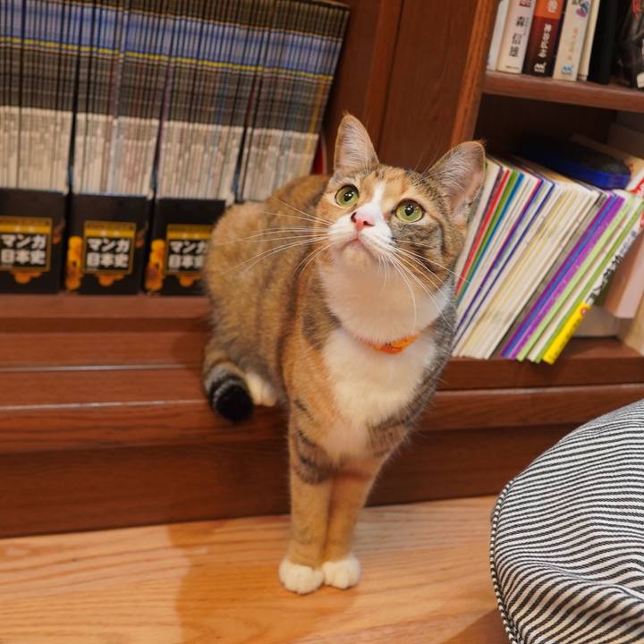 66557291 59a2 457d 9480 1b2e2ccecff6 1599436631426