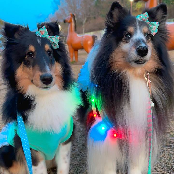 6655837e bab0 4633 8314 455950e27418 1741376650494