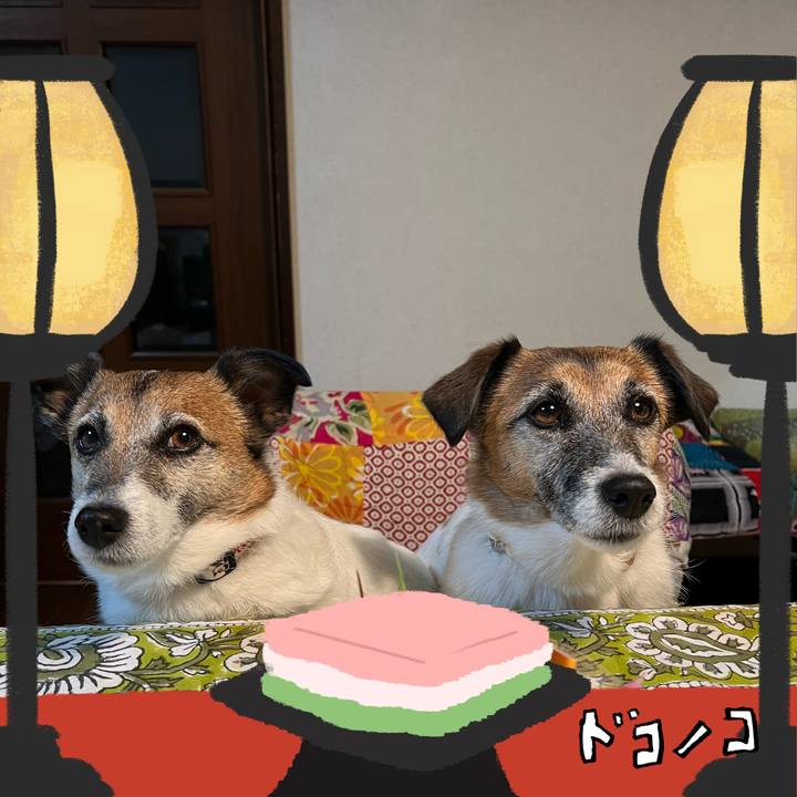 6655af6e 3099 4dab 987c eb8ef9ff562b 1741062432081