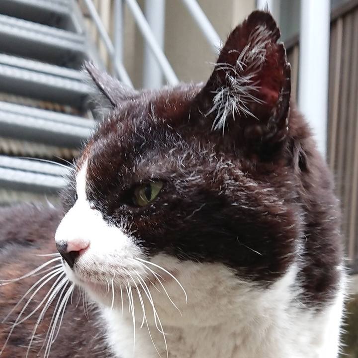 6655cec6 1b19 422f 94ec d67efa7c0e67 1652495607133