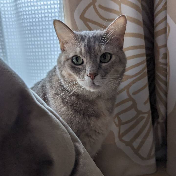 66564c97 31e8 42b4 b2ca 72da3efbe481 1700801110941