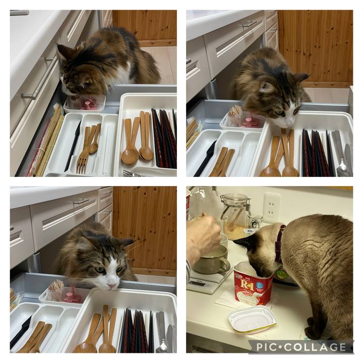 6656538e d508 4413 b50d 58bdabad9ab9 1744836353359