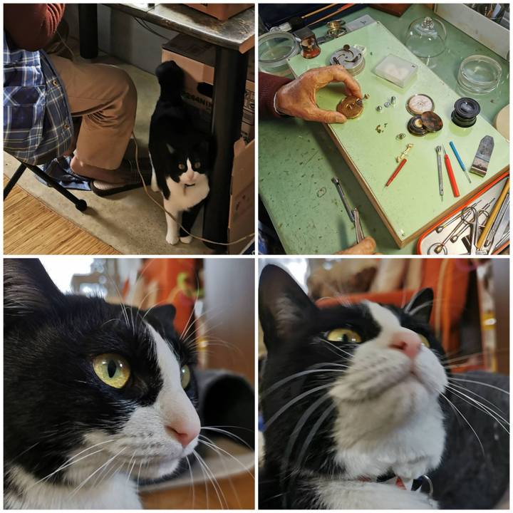 66565bd9 c059 4e5e 8fb4 bda0d7aa61f7 1617199653612