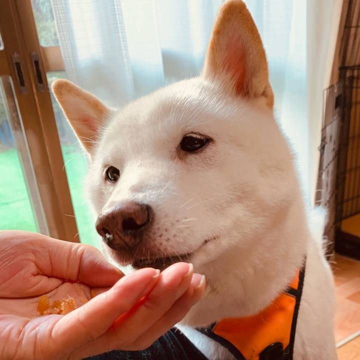 6656b792 752f 48a1 9dc9 d6d54c529255 1637300563227