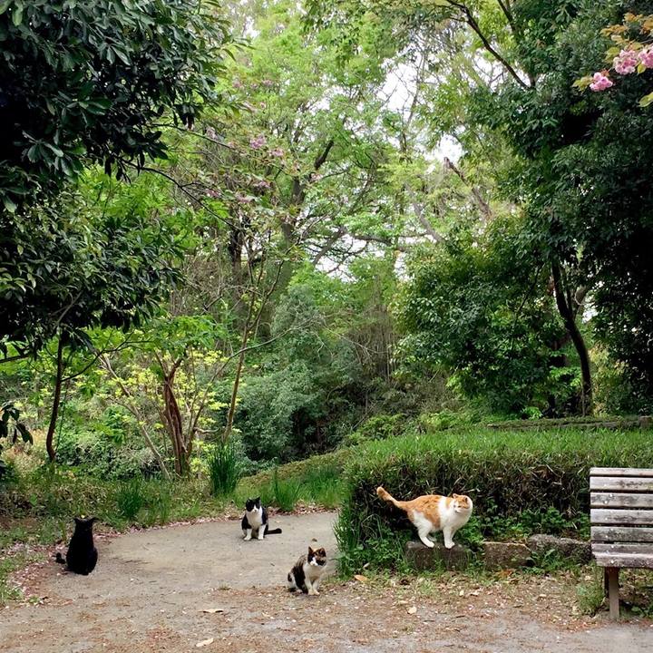 6656bcbd 828e 4d80 9a63 8615eab8b694 1523850072261