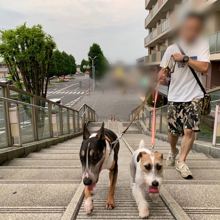 6656d612 7f7e 413e a427 5708aa77173a 1597229691670