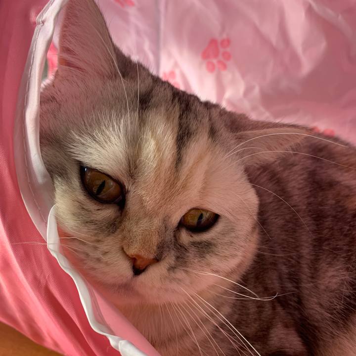 6656f5cf b6ba 4d53 bec8 6bcae7e5f665 1707608803688