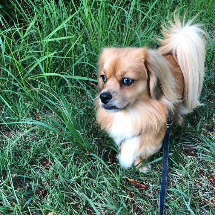 66571d45 947c 4787 8c03 707ac0bc4965 1534712910200