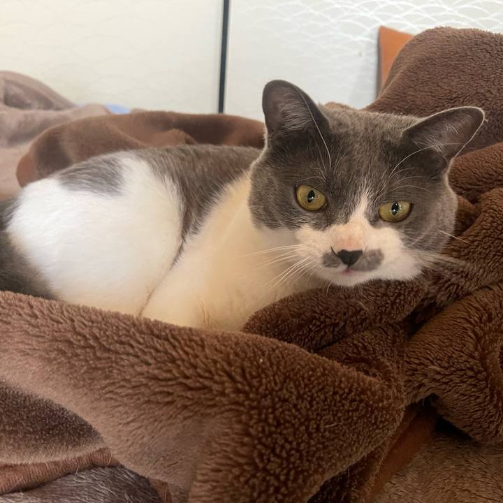 66579309 9802 4e54 a00a 1338a10a83cf 1651446450729