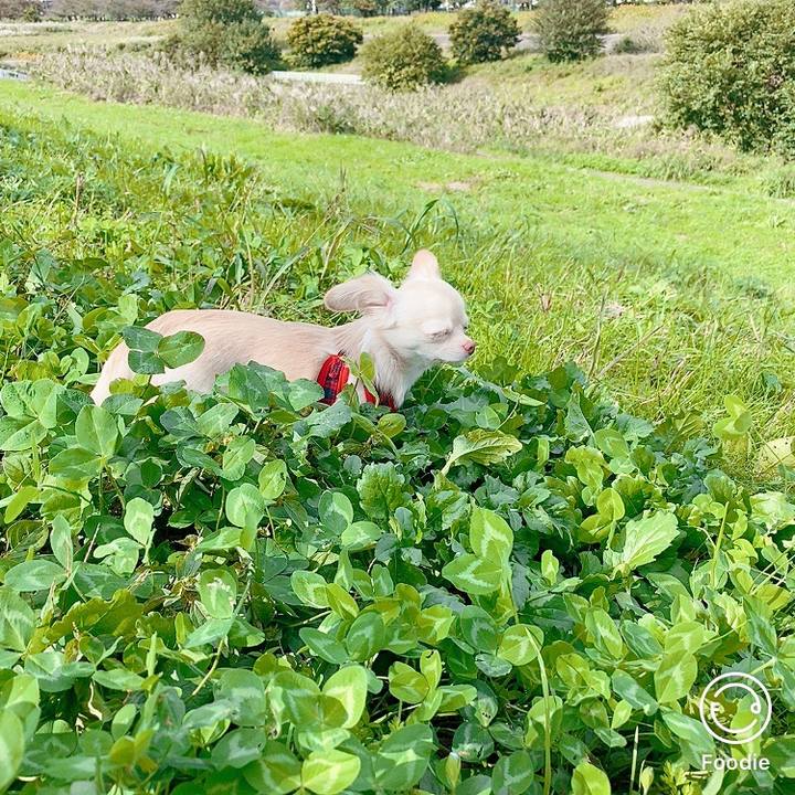 6657dee1 12e4 47fb a2f1 f8bde01e7d4e 1603514821556