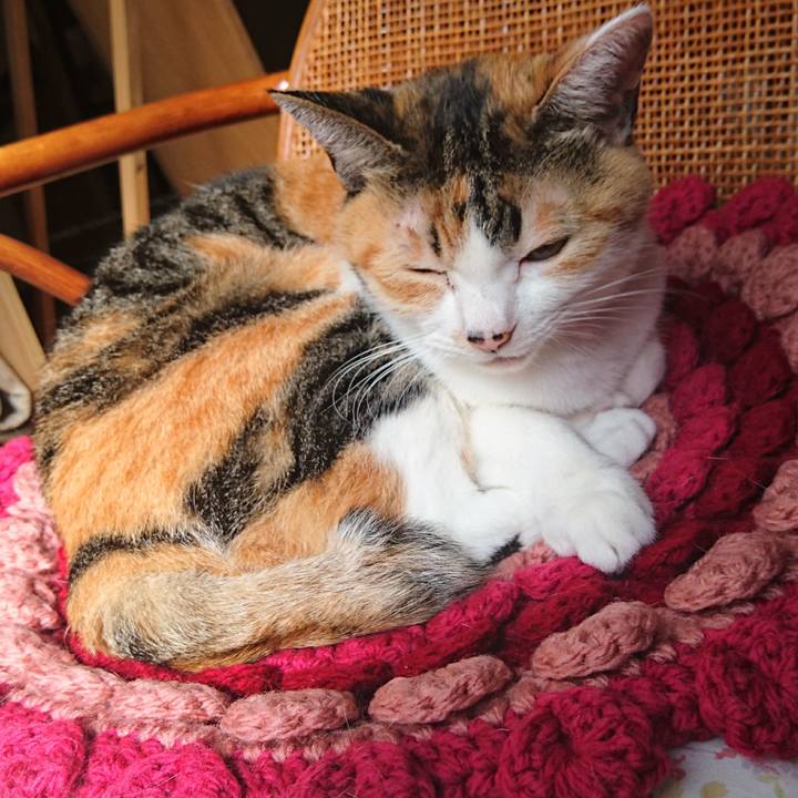 6657f6a0 fedb 4796 bb38 9dc21cad8c8c 1600739934219