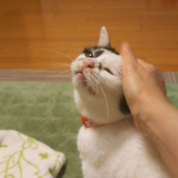 6658086c bd7b 43bb bc31 3517d375fc7d 1508064620182