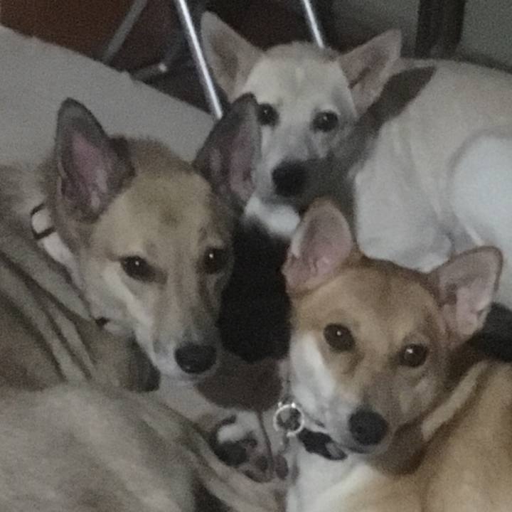 665823c1 5c50 491f 92ee b4d6d0bd1253 1539006900482