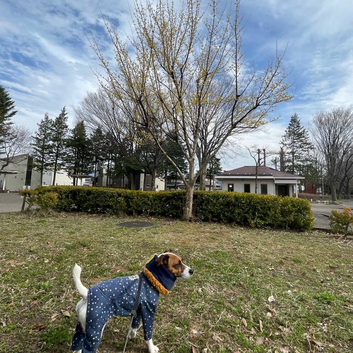 66582558 92a8 48a8 9cd4 f59b7aa8aaf0 1648465396793