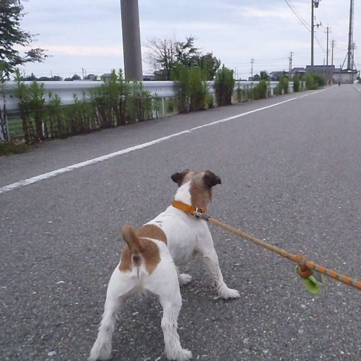 66586bec 3258 44a9 80e3 5c79fb769ff0 1531304179964