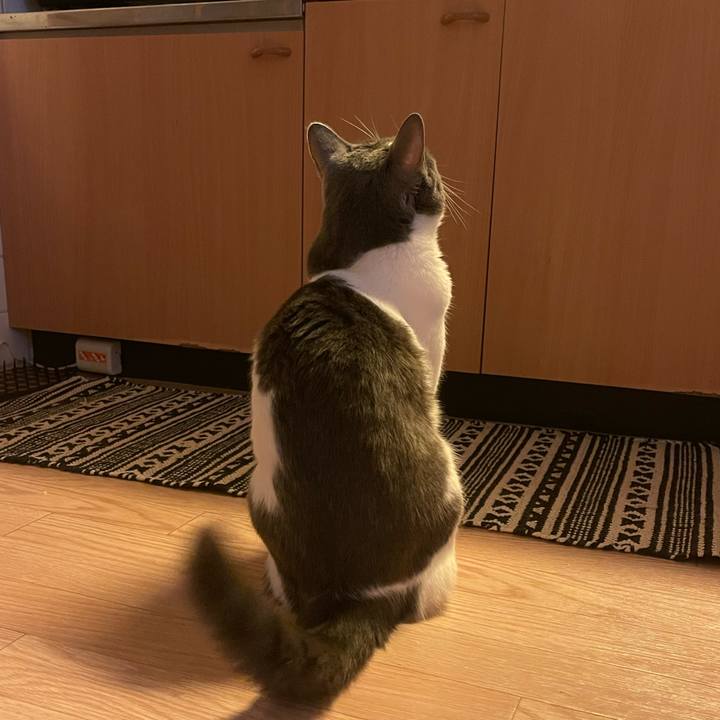 6658ef79 877c 4d0e 8e72 3d89ec04c631 1659945033938