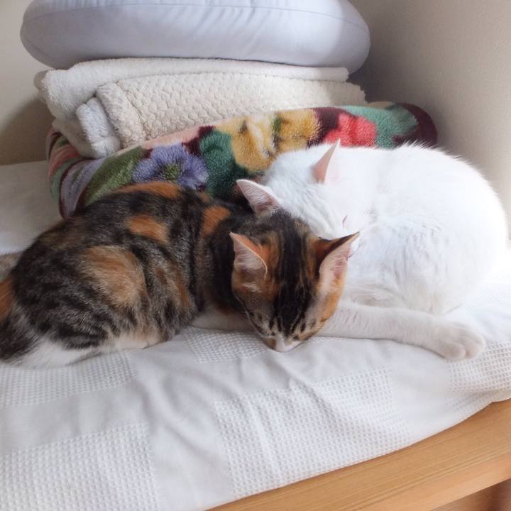 66593ffd fdbc 4c51 9198 f42abd2c4c15 1631425461805