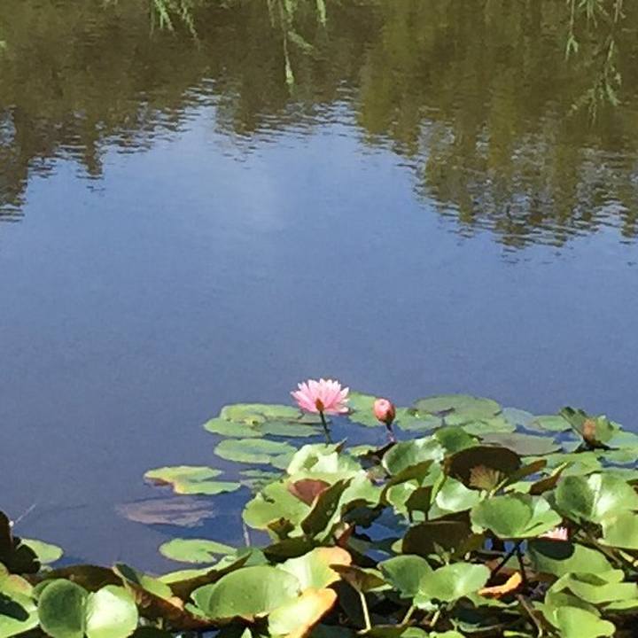 6659483a ee84 4883 ba92 201ef8325334 1537930258514