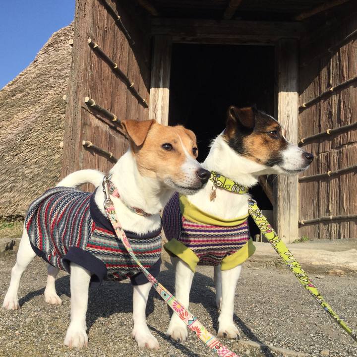 665948e3 4626 4a9b 8133 169e32e545e2 1545351859597