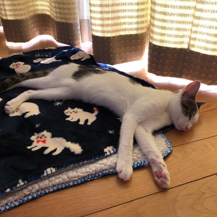 66597d02 dfc7 46a8 8009 d1c8b9a36574 1569208687180