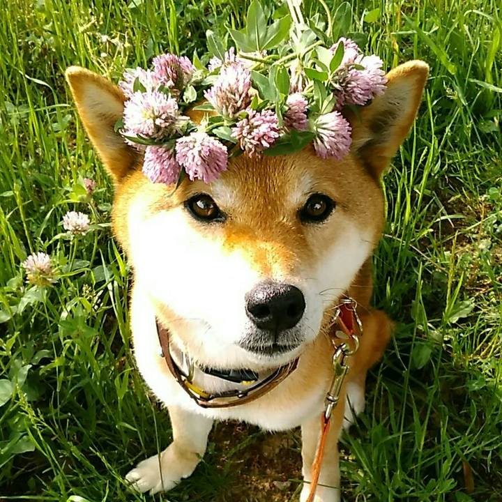 66599b54 a0e8 48a7 89ad ac9c346c2b0a 1557472532772