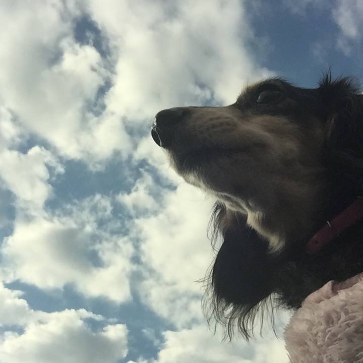 6659c957 367e 4c4e b065 8f4aaf199b6f 1541202418342