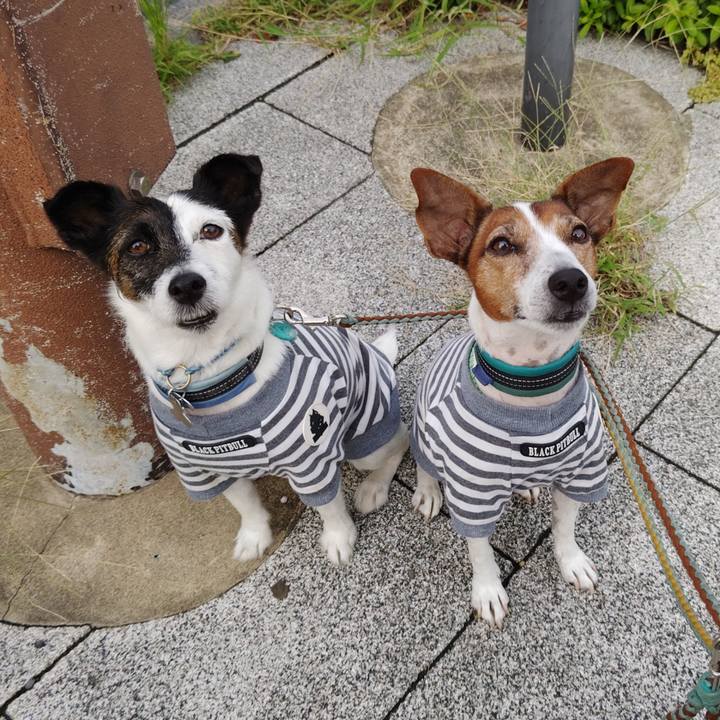 6659d8e0 7bd4 40ec 9655 086a02c9d83c 1727131286844