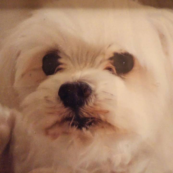 6659eddd fc73 47d5 8f04 082949b1953c 1546267933476