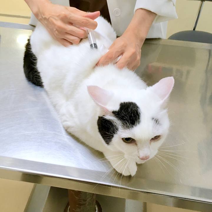 665a1f6e 06d9 4cdc aa10 d5a49bb3a7ba 1567672280667