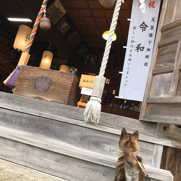 665a3736 243e 407d b7a3 db34d0f929bc 1556663233316