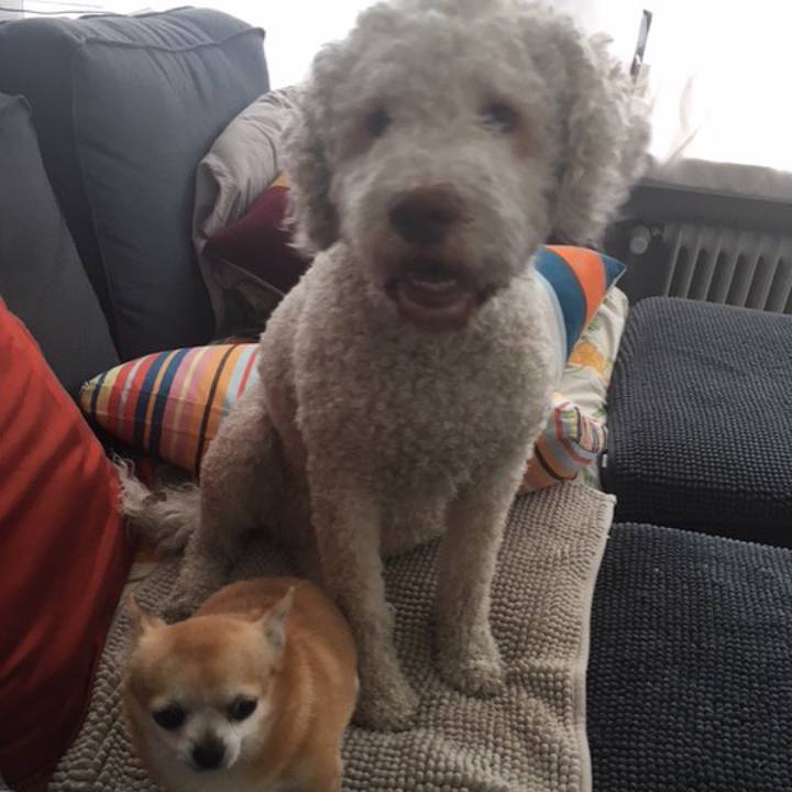 665a48c3 0a13 4705 ad25 dd99dfa5d518 1533571036017