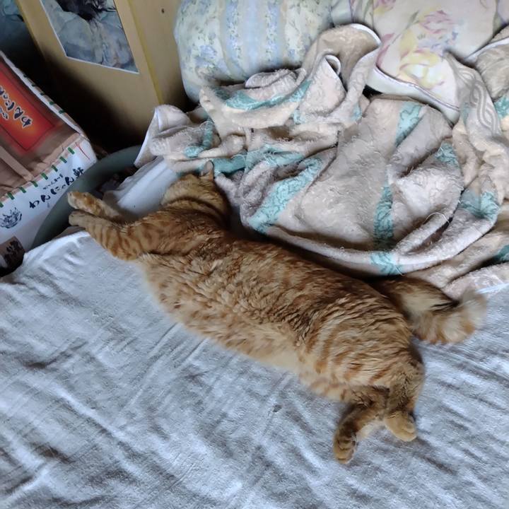 665a6650 2932 4731 a5b8 350f86285e2b 1690448129616