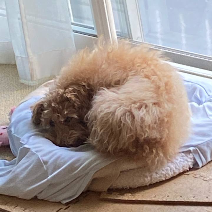 665a9131 1fa5 4f38 8776 c9a21203d2e1 1695424472850