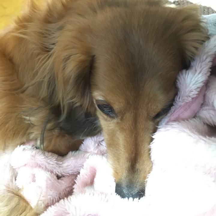 665aacea 12b1 41a7 b475 b41400263519 1521616159637