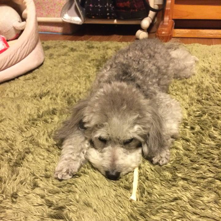 665abd0d e6a8 4d92 a911 0e7d1efd5302 1734480465620